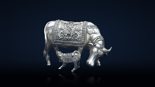 Gau Vatsa Nakashi Right Facing