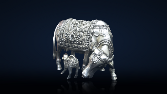 Gau Vatsa Nakashi Right Facing