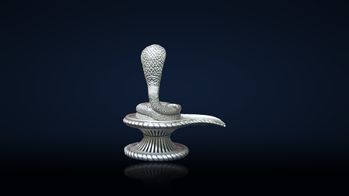 Shivlinga